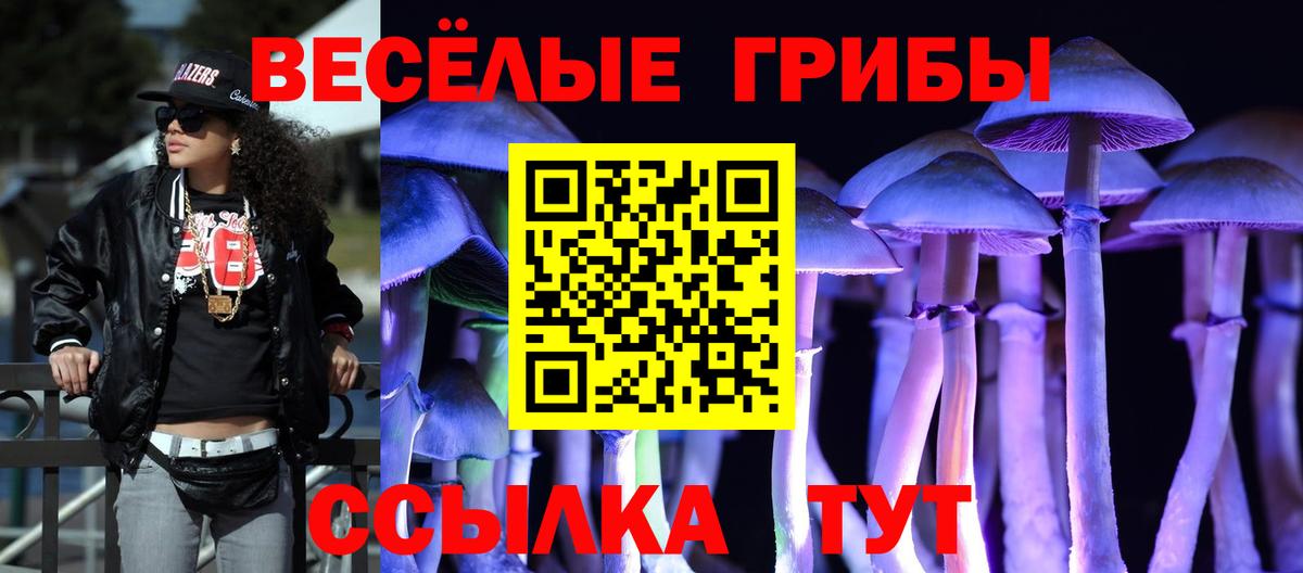 Курчалой  Галлюциногенные грибы Psilocybine cubensis  Псилоцибиновые грибы мицелий  Вход с VPN 