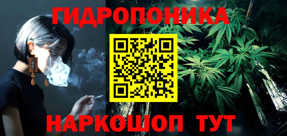 Бошки Шишки тримм  Марихуана индика  Курчалой  Марихуана AK-47  Вход с VPN 