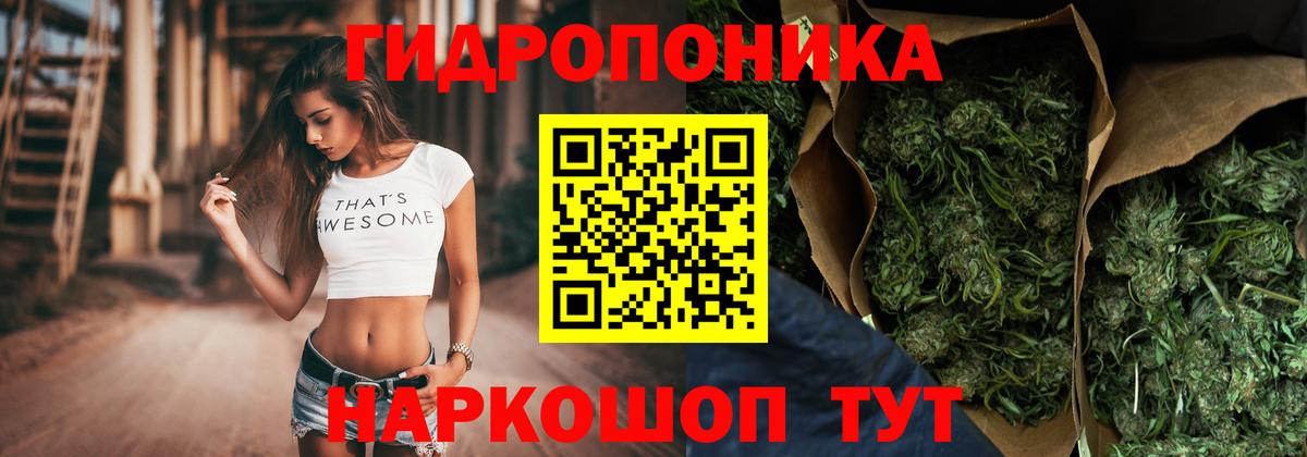 Конопля Ganja Курчалой